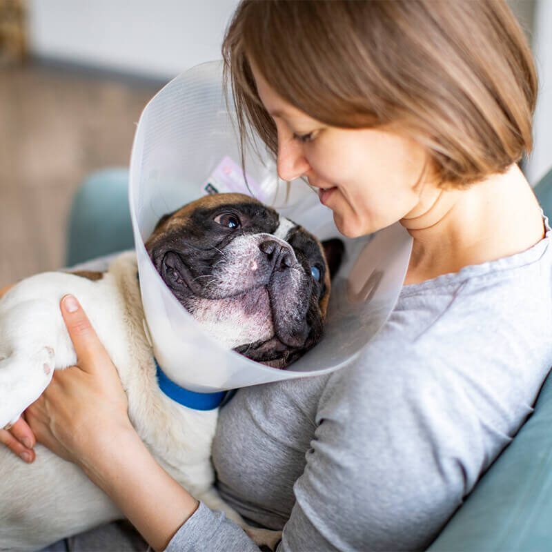 a woman holding a dog that is wearing a veterinary cone around their neck