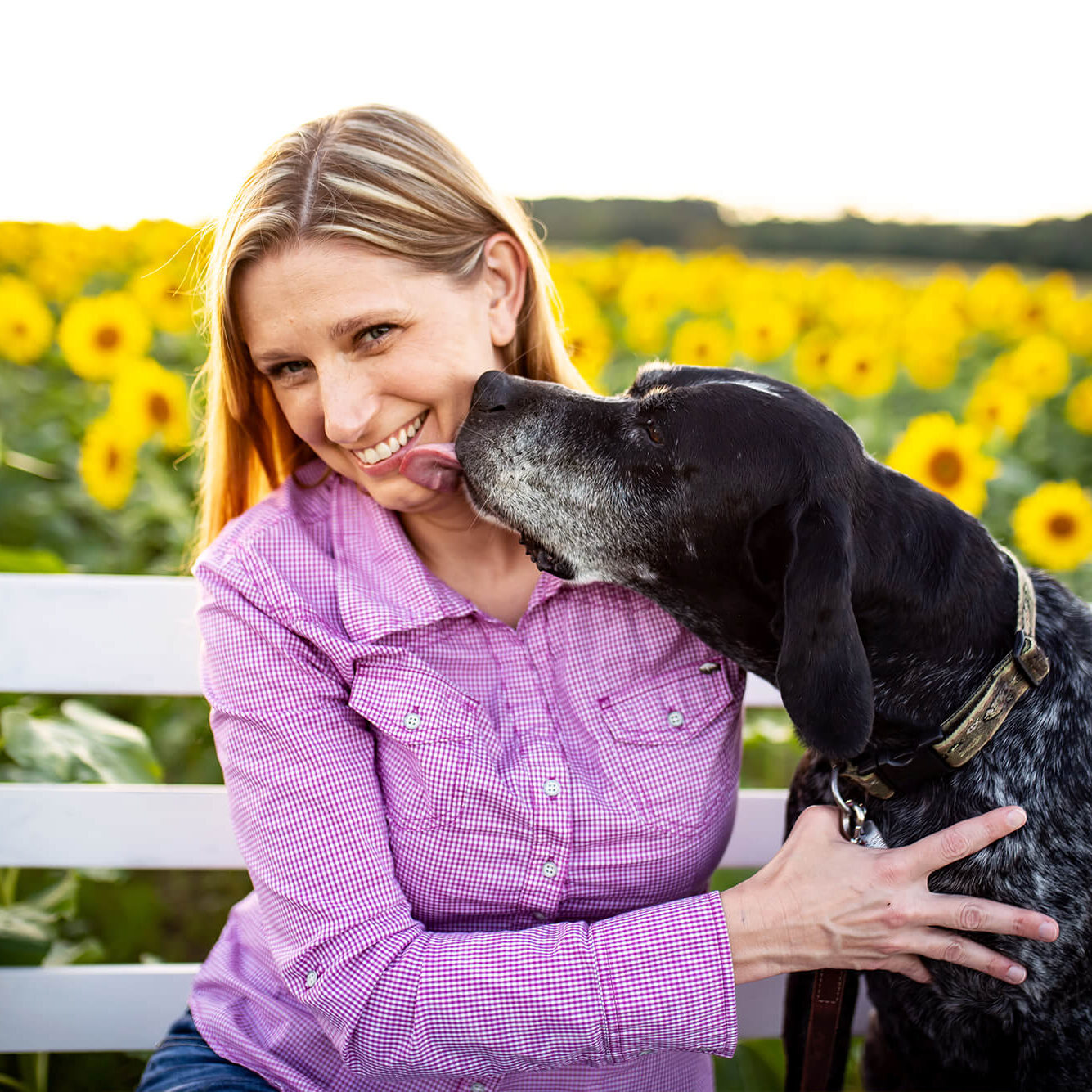 Vet Getting Dog Kisses In Field